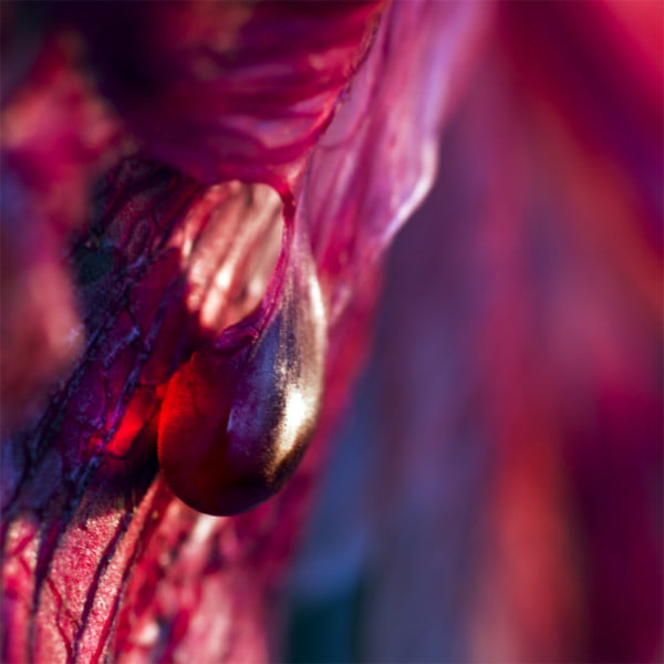 Abstracte fotografie tips